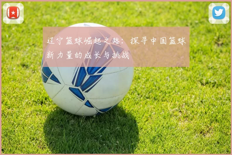 辽宁篮球崛起之路：探寻中国篮球新力量的成长与挑战